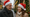 ab wann sagt man frohe weihnachten - Illustration