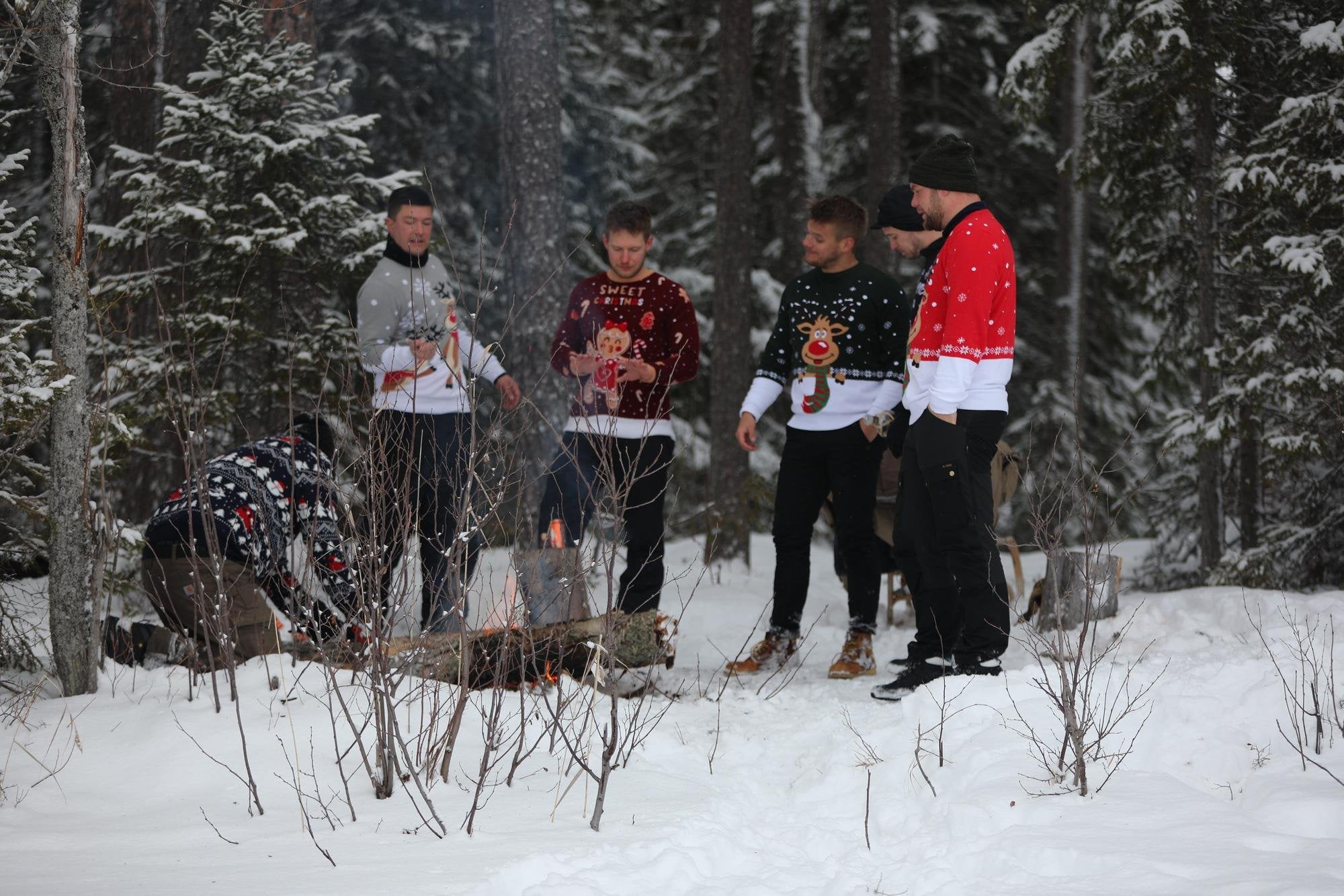 wie viele freitage noch bis weihnachten - Illustration