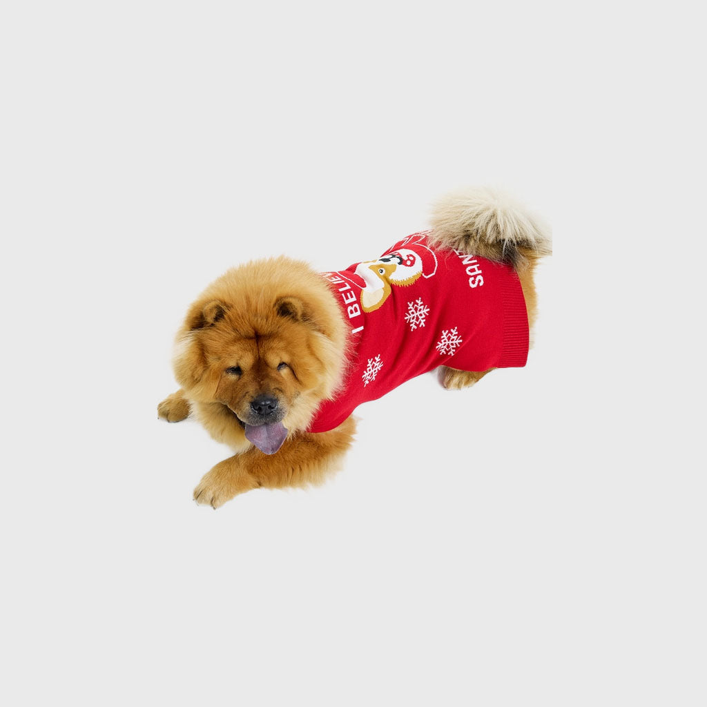 Santa paws Hunde-Weihnachtspullover