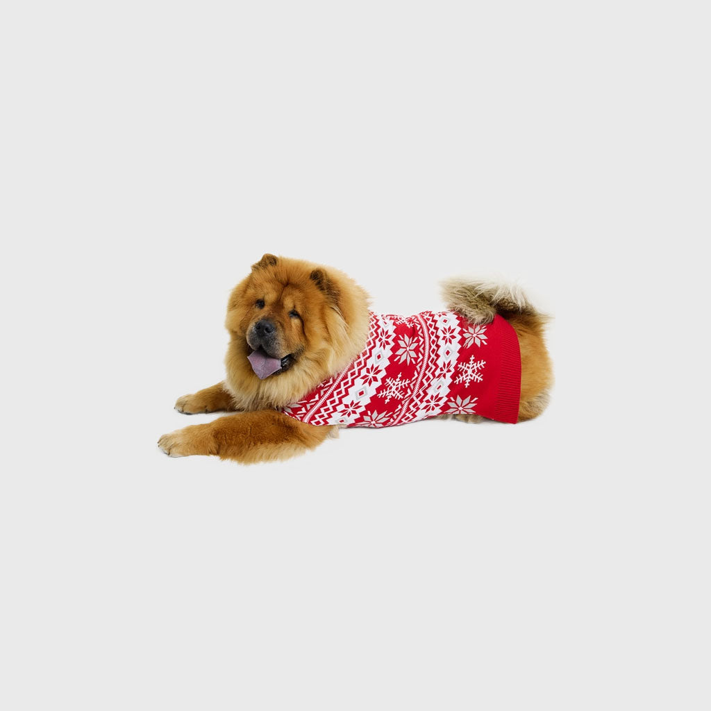 Der süße Hunde-Weihnachtspullover