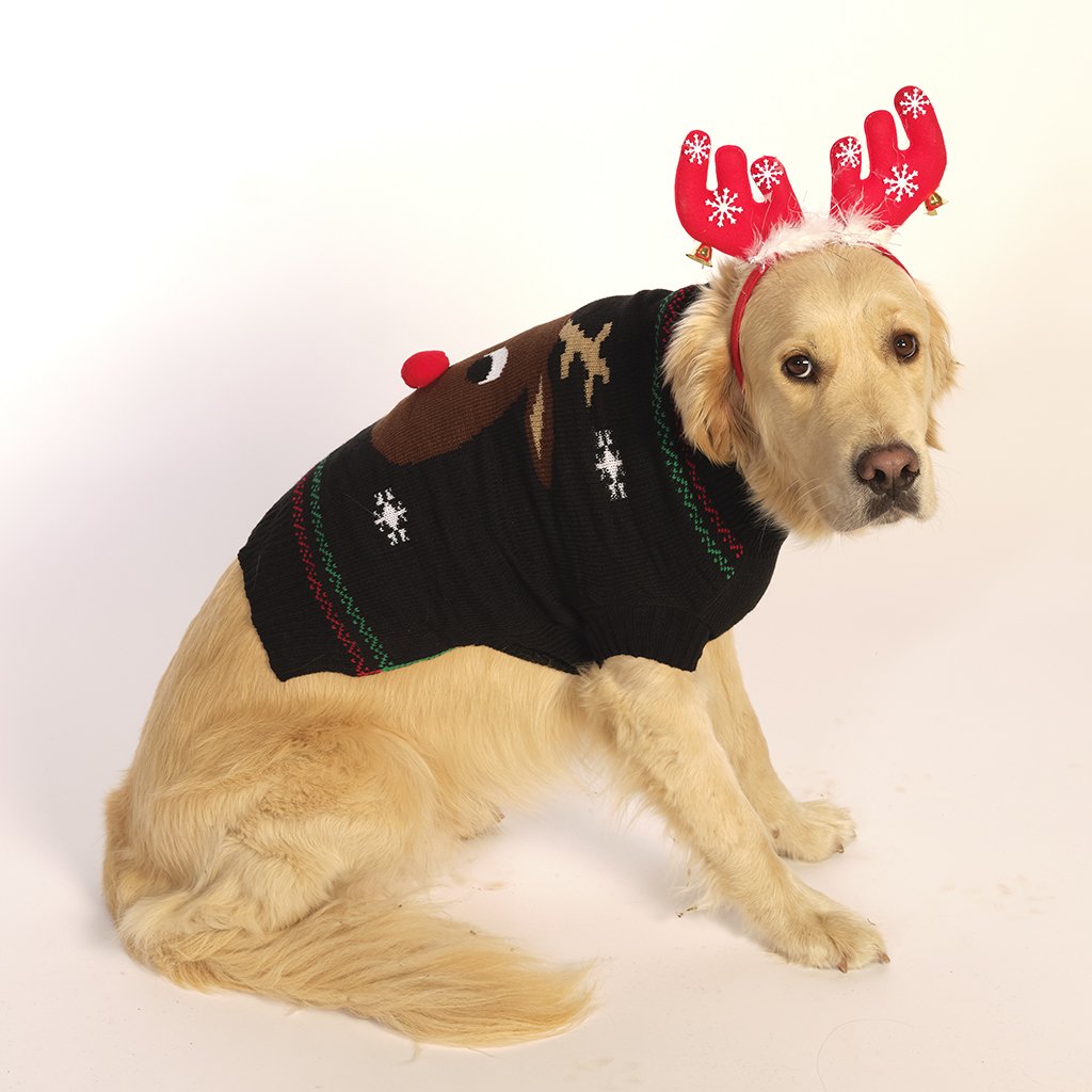 Ein Hund, der einen schwarzen Weihnachtspulli trägt.